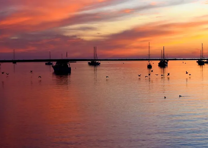 Harbor View Inn